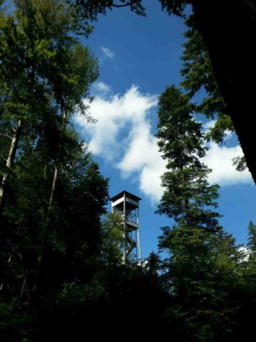ausfluege-tuerme-chutzenturm-frienisberg-1 ausfluege-tuerme-chutzenturm-frienisberg-1